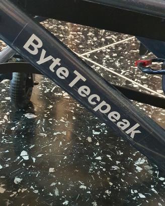 Sedia a rotelle elettrica