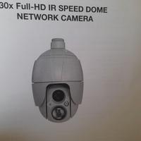 Telecamera Dom Full HD con IP