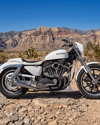 Harley-davidson 883 XLH EVO