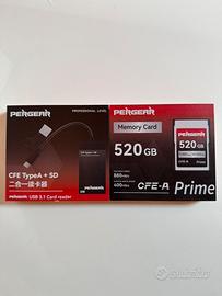 Lettore PERGEAR CFE TypeA + SD + Memory 520 GB