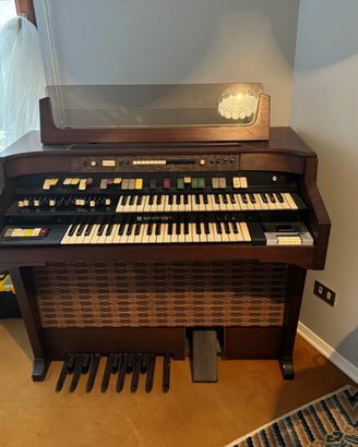 Organo Hammond serie T