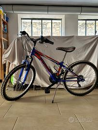 Bicicletta  DAYTONA SHARK 24 ragazzo