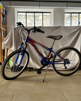 Bicicletta  DAYTONA SHARK 24 ragazzo