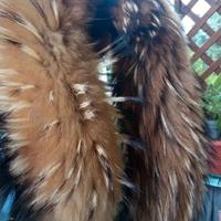 Collo di procionee coprispalla con asole