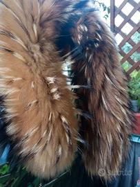 Collo di procionee coprispalla con asole