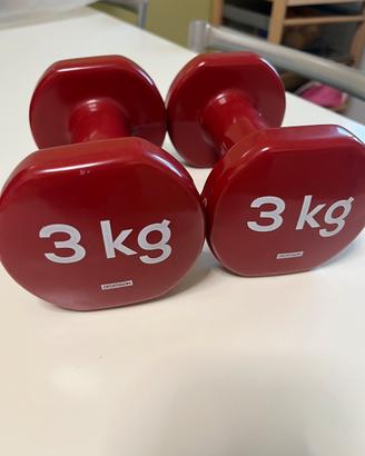 Coppia di manubri/pesetti da 3 kg