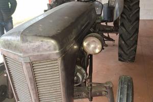 Trattori d'epoca Ferguson TE 20