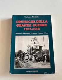 Cronache della grande guerra 1915-1918