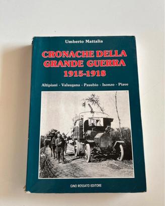 Cronache della grande guerra 1915-1918