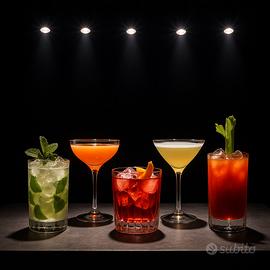 Barman Professionale