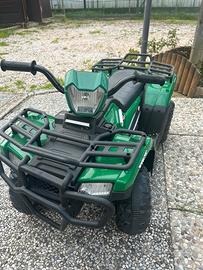 Quad a batteria