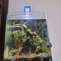 acquario completo con mobiletto 