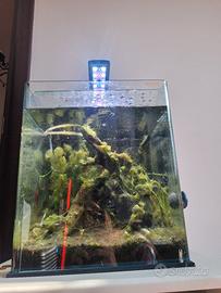 acquario completo con mobiletto 