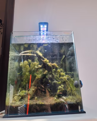 acquario completo con mobiletto 