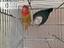 Immagine 2