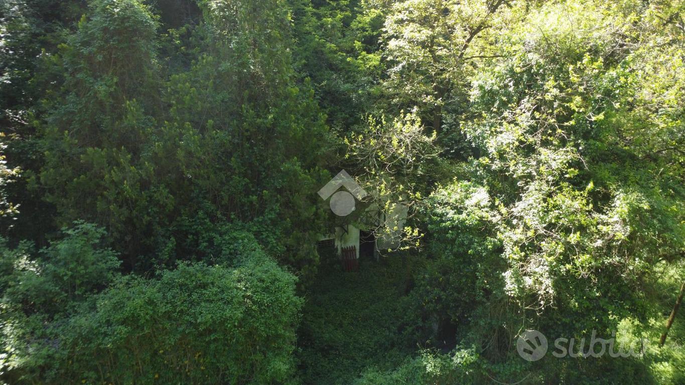 RUSTICO A PISTOIA - Vista 5