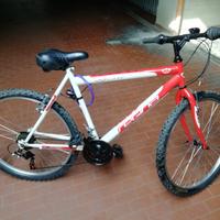 Bicicletta mountain bike unisex