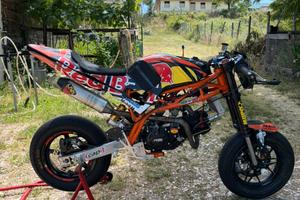 Pit bike / minigp