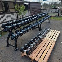 Set manubri palestra