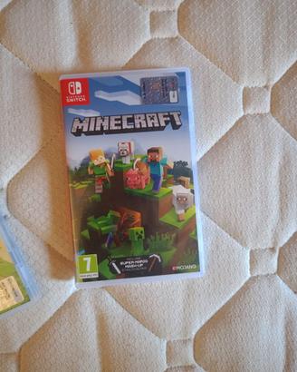 minecraft ( nintendo 1 & 2 )