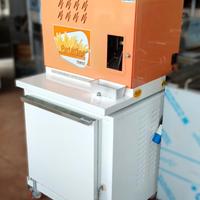 Friggitrice Margot Fritty con Frozer