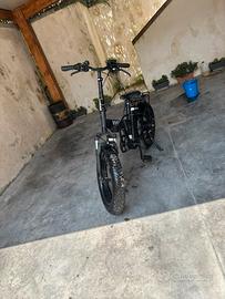 Bicicletta elettrica