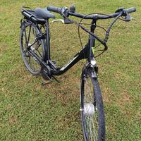 Biciclette Elettrica Schiano E-Moon