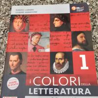 Libro i colori della letteratura