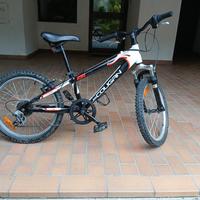 bicicletta usata