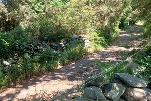 terreno incolto nel  montiferru 