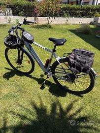Bici ebike pedalata assistita