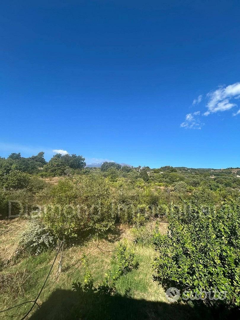 Terreno agricolo e rudere San Giovanni Montebello - Vista 4