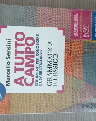A tutto campo grammatica e lessico