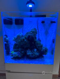 Acquario Reef Kubic 50X50