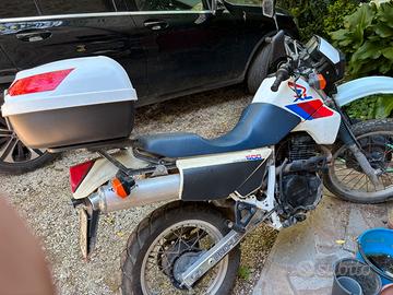 Honda XL 600 RM