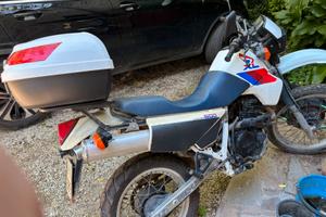 Honda XL 600 RM