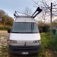 ducato 