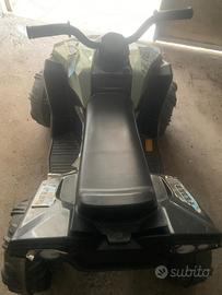 quad elettrico