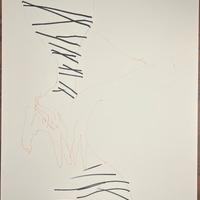 Tecnica mista - Jan Van Oost