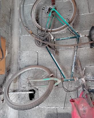 Biciclette Mountain bike 