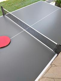 tavolo da ping pong