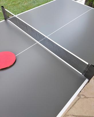 tavolo da ping pong