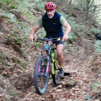 trek Remedy 8