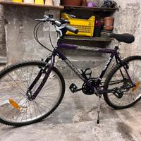 Mountain bike. Usata poco.