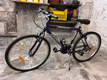 Mountain bike. Usata poco.