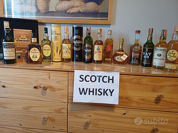 12 bottiglie di whisky
