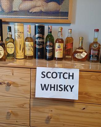 12 bottiglie di whisky
