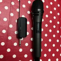 Microfoni per impianto karaoke