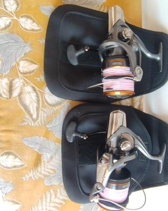 coppia muli  serf nuovi