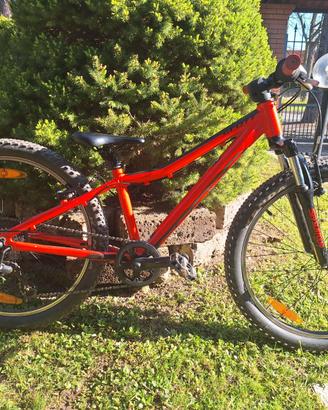 MTB SCOTT SCALE 24"  bambino